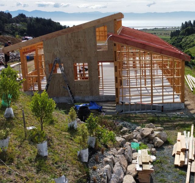 Nelson Building Carpentry Construction